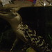 Ruthann Ross Photo 18