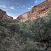 Gill Bush Photo 10