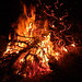 Jacqueline Burns Photo 45