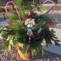 Kathy Steger Photo 9