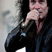 David Steele Photo 24