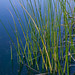 Geoffrey Waters Photo 15