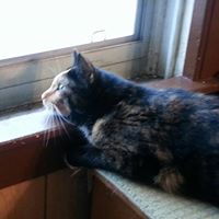 Cindy Whitten Photo 26