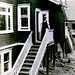 John Mckellar Photo 40