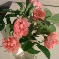 Ann Simms Photo 15