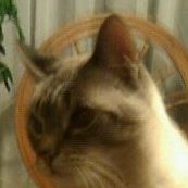 Sharon Tuttle Photo 16