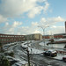 Caren Ford Photo 10