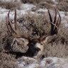 Clint Mitchell Photo 38