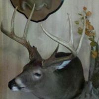 Michael Coker Photo 10