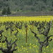 Debra Stark Photo 16