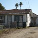 Linda Downs Photo 38