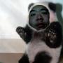 Kevin Ly Photo 12