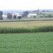 Victoria Strasburg Photo 5