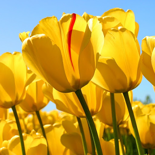 Puneet Agrawal Photo 12