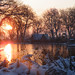 Stephen Early Photo 14