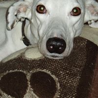 Barbara Cullimore Photo 3