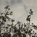 April Branch Photo 35