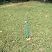 Judith Knowles Photo 26