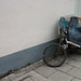 Dan Lu Photo 10
