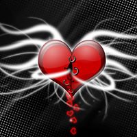 Sayed Habib Photo 25