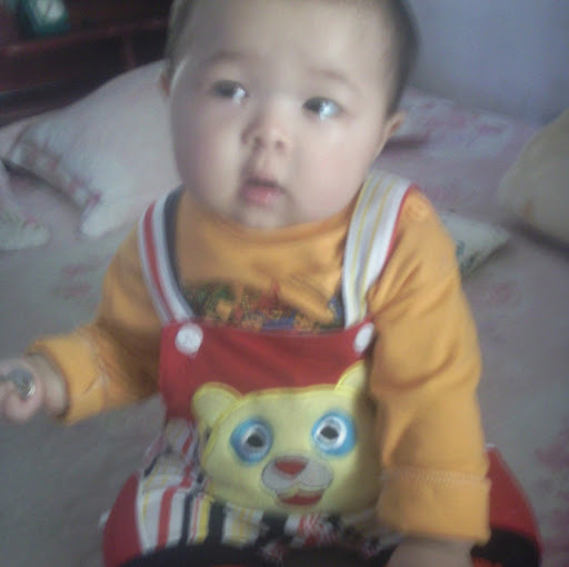 Thuan Trinh Photo 4