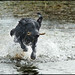 Sonya Waters Photo 13