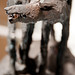 Ed Howell Photo 32