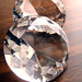 Kristal Wood Photo 24