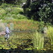 Katharine Herman Photo 12