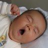 Liang Zhao Photo 22