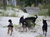Aimee Johnson Photo 14