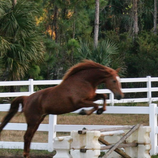 Debra Gleason Photo 2