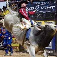 Martin Avila Photo 29