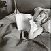 Marilyn Carroll Photo 33