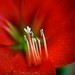 Oanh Trinh Photo 28