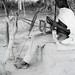 Nancy Hecht Photo 7
