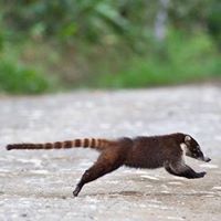 Stuart Adams Photo 31