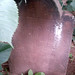 Joseph Beckley Photo 1