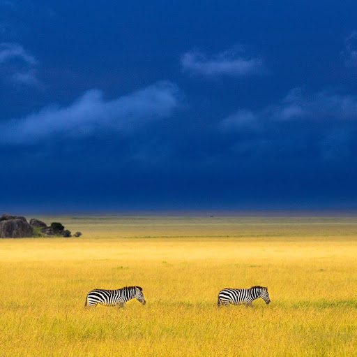 Wei Liang Photo 9