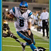 David Bollinger Photo 16