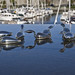 Gregory Foss Photo 7