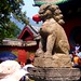 Lin Shao Photo 7