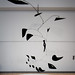 Thomas Knuth Photo 19