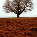 Charles Walton Photo 30