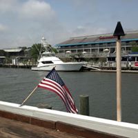 Teresa Hiatt Photo 5