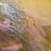 Toby Reece Photo 8