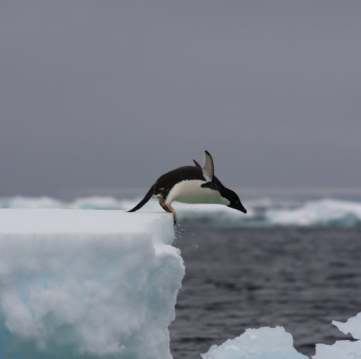 Don Macmillan Photo 24
