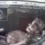 Stephanie Jackson Photo 15