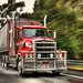 Lee Baxter Photo 16
