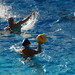 Alex Alvarado Photo 32